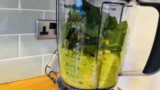 Nutribullet Blender