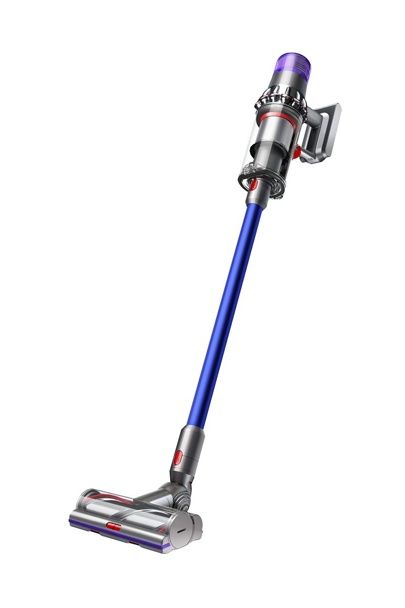 Dyson V11