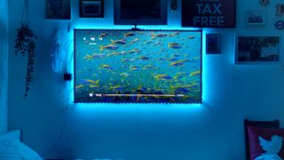 Govee Immersion
